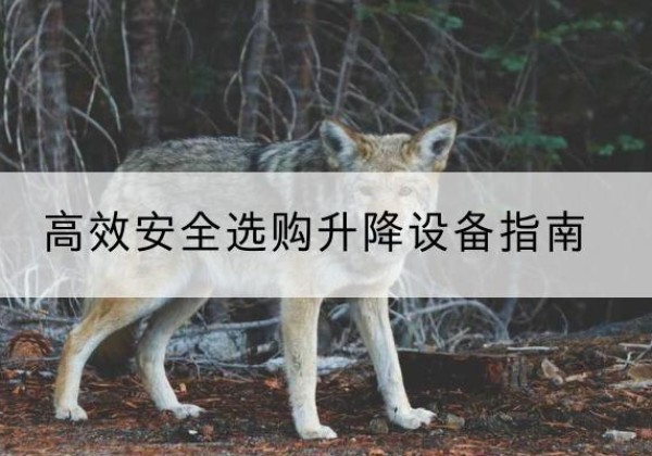 雷波升降货梯厂家推荐-*安全选购升降设备指南
