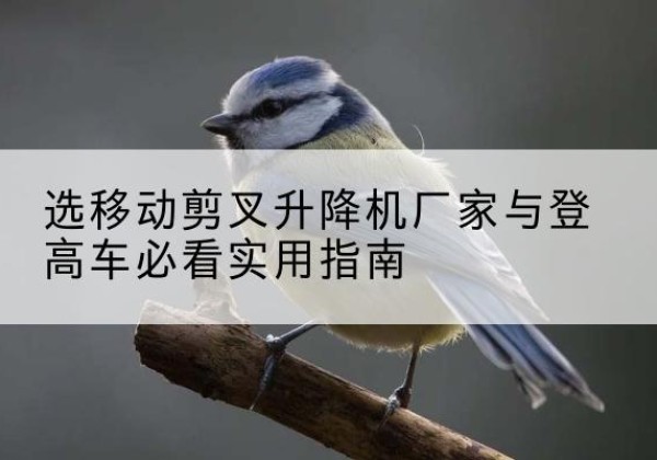 雷波电动升降机厂家-选移动剪叉升降机厂家与登高车必看实用指南
